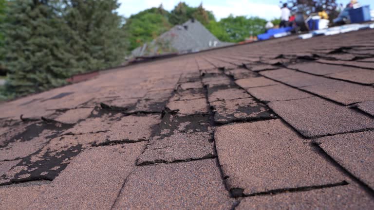 Best Wood Shake Roofing  in North Boston, NY